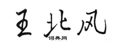 駱恆光王北風行書個性簽名怎么寫