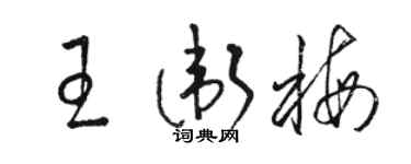 駱恆光王衛梅草書個性簽名怎么寫