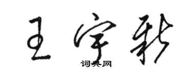 駱恆光王宇新草書個性簽名怎么寫