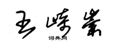 朱錫榮王崎崇草書個性簽名怎么寫