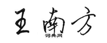 駱恆光王南方行書個性簽名怎么寫