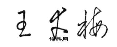 駱恆光王幸梅草書個性簽名怎么寫