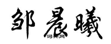 胡問遂鄒晨曦行書個性簽名怎么寫