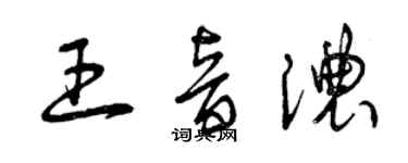 曾慶福王音濃草書個性簽名怎么寫