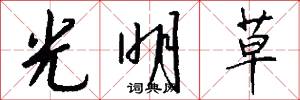 光明草怎么寫好看