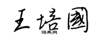 王正良王培國行書個性簽名怎么寫