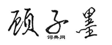 駱恆光顧子墨行書個性簽名怎么寫