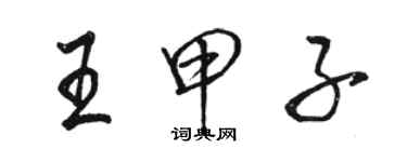 駱恆光王甲子行書個性簽名怎么寫