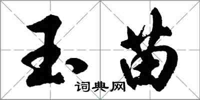 胡問遂玉苗行書怎么寫