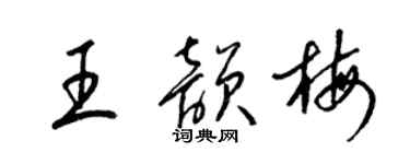 梁錦英王韻梅草書個性簽名怎么寫