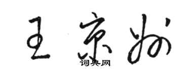 駱恆光王京州草書個性簽名怎么寫