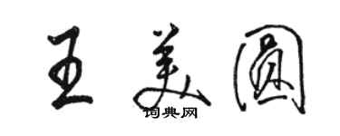 駱恆光王美圓行書個性簽名怎么寫