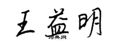 王正良王益明行書個性簽名怎么寫
