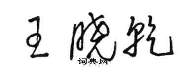駱恆光王曉乾草書個性簽名怎么寫