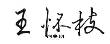 駱恆光王懷枝行書個性簽名怎么寫