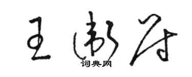 駱恆光王衛尉草書個性簽名怎么寫