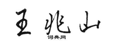 駱恆光王兆山行書個性簽名怎么寫