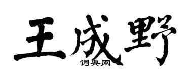 翁闓運王成野楷書個性簽名怎么寫