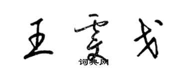 梁錦英王雯戈草書個性簽名怎么寫