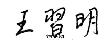 王正良王習明行書個性簽名怎么寫