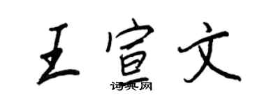 王正良王宣文行書個性簽名怎么寫