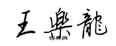 王正良王樂龍行書個性簽名怎么寫