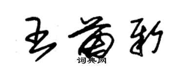 朱錫榮王苗新草書個性簽名怎么寫