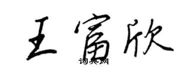 王正良王富欣行書個性簽名怎么寫