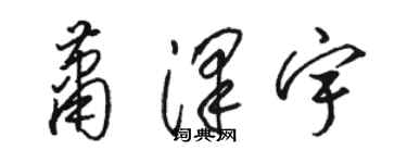 駱恆光蕭澤宇草書個性簽名怎么寫