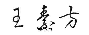 駱恆光王素方草書個性簽名怎么寫