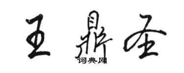 駱恆光王鼎聖行書個性簽名怎么寫