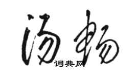 駱恆光湯暢草書個性簽名怎么寫