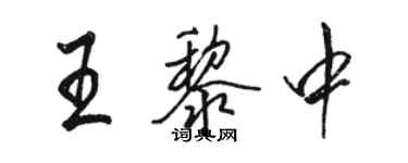 駱恆光王黎中行書個性簽名怎么寫