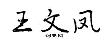 曾慶福王文鳳行書個性簽名怎么寫
