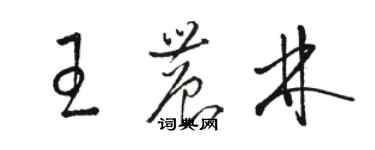 駱恆光王農林草書個性簽名怎么寫