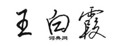 駱恆光王白霞行書個性簽名怎么寫