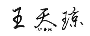 駱恆光王天瓊行書個性簽名怎么寫