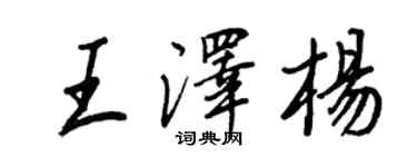 王正良王澤楊行書個性簽名怎么寫