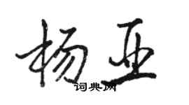 駱恆光楊亞行書個性簽名怎么寫