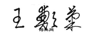 駱恆光王鄭菊草書個性簽名怎么寫