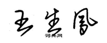 朱錫榮王生鳳草書個性簽名怎么寫