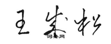 駱恆光王成松草書個性簽名怎么寫