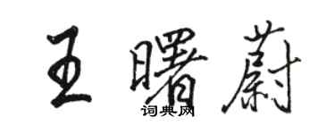 駱恆光王曙蔚行書個性簽名怎么寫