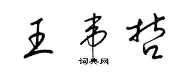 梁錦英王韋哲草書個性簽名怎么寫