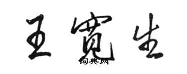 駱恆光王寬生行書個性簽名怎么寫