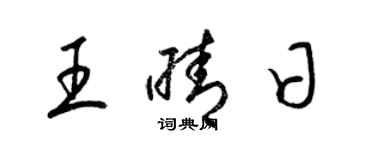 梁錦英王晴日草書個性簽名怎么寫