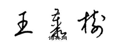 梁錦英王叢樹草書個性簽名怎么寫