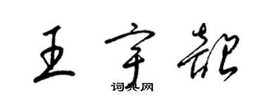 梁錦英王宇韶草書個性簽名怎么寫
