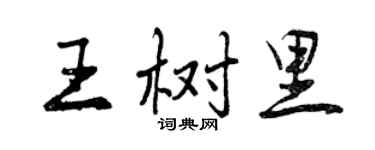 曾慶福王樹里行書個性簽名怎么寫