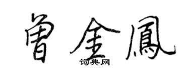 王正良曾金鳳行書個性簽名怎么寫